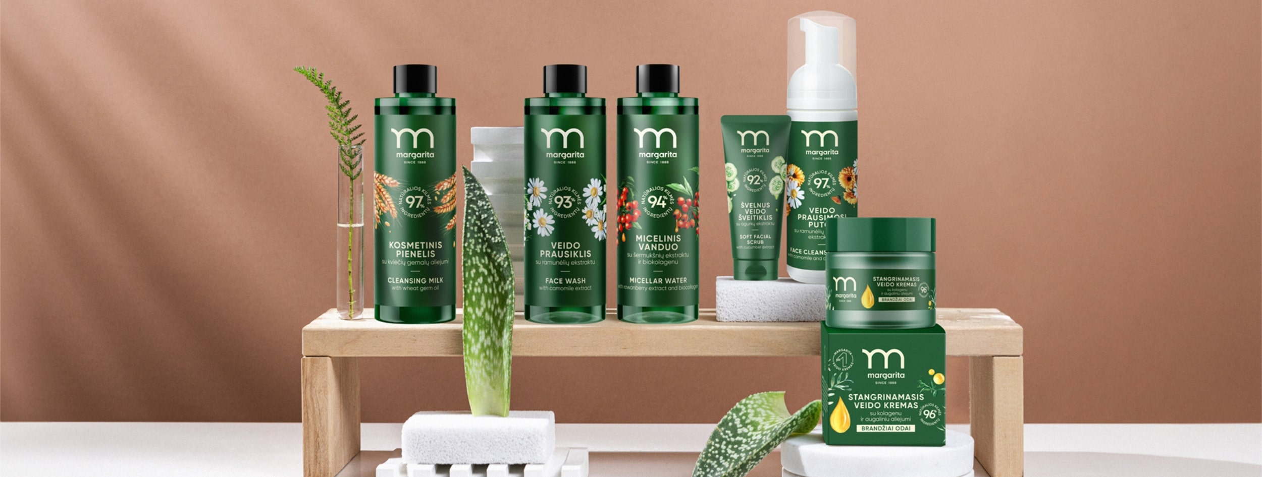 Margarita Ecodenta